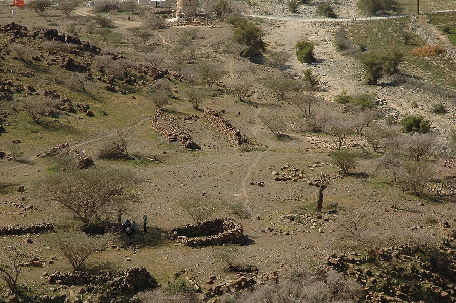 Overview of the Site HLO1